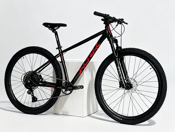 Bicicletas