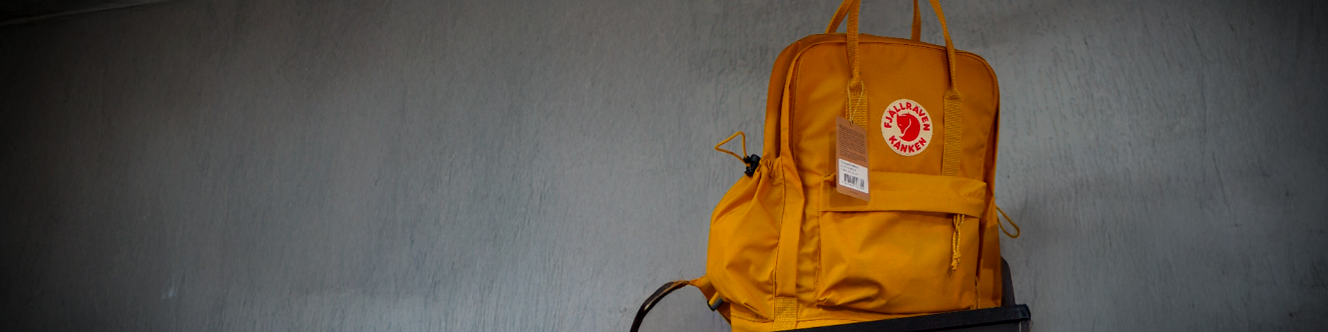 collection-banner-image