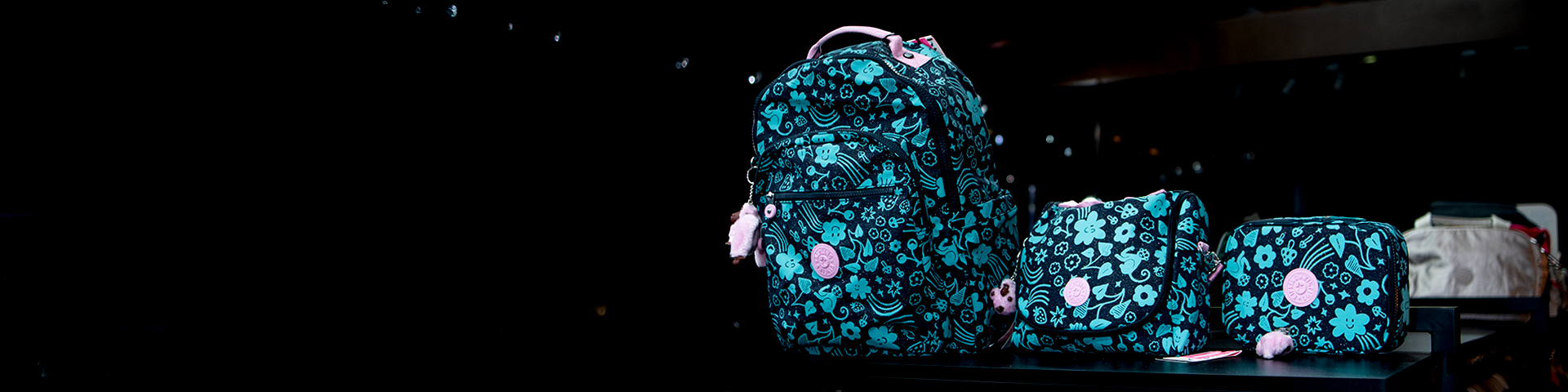 collection-banner-image