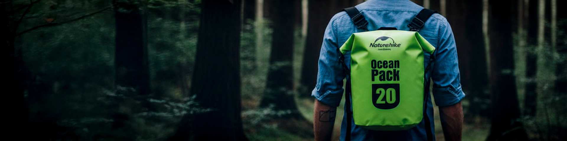 collection-banner-image