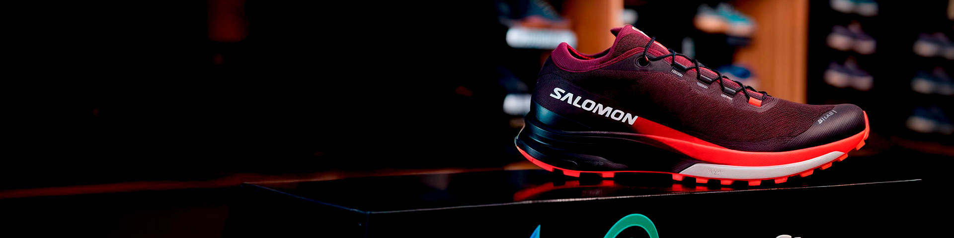 collection-banner-image