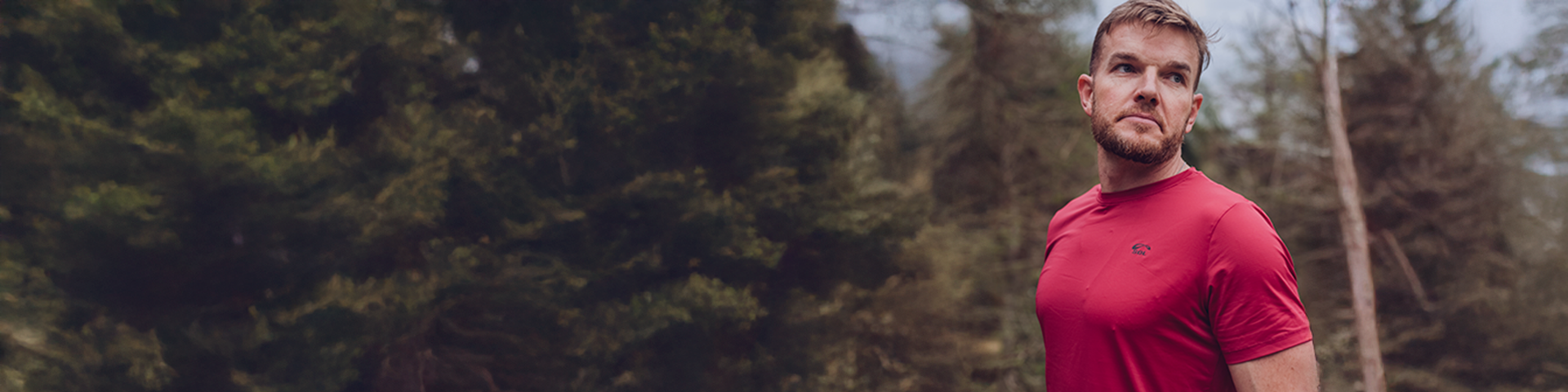 collection-banner-image